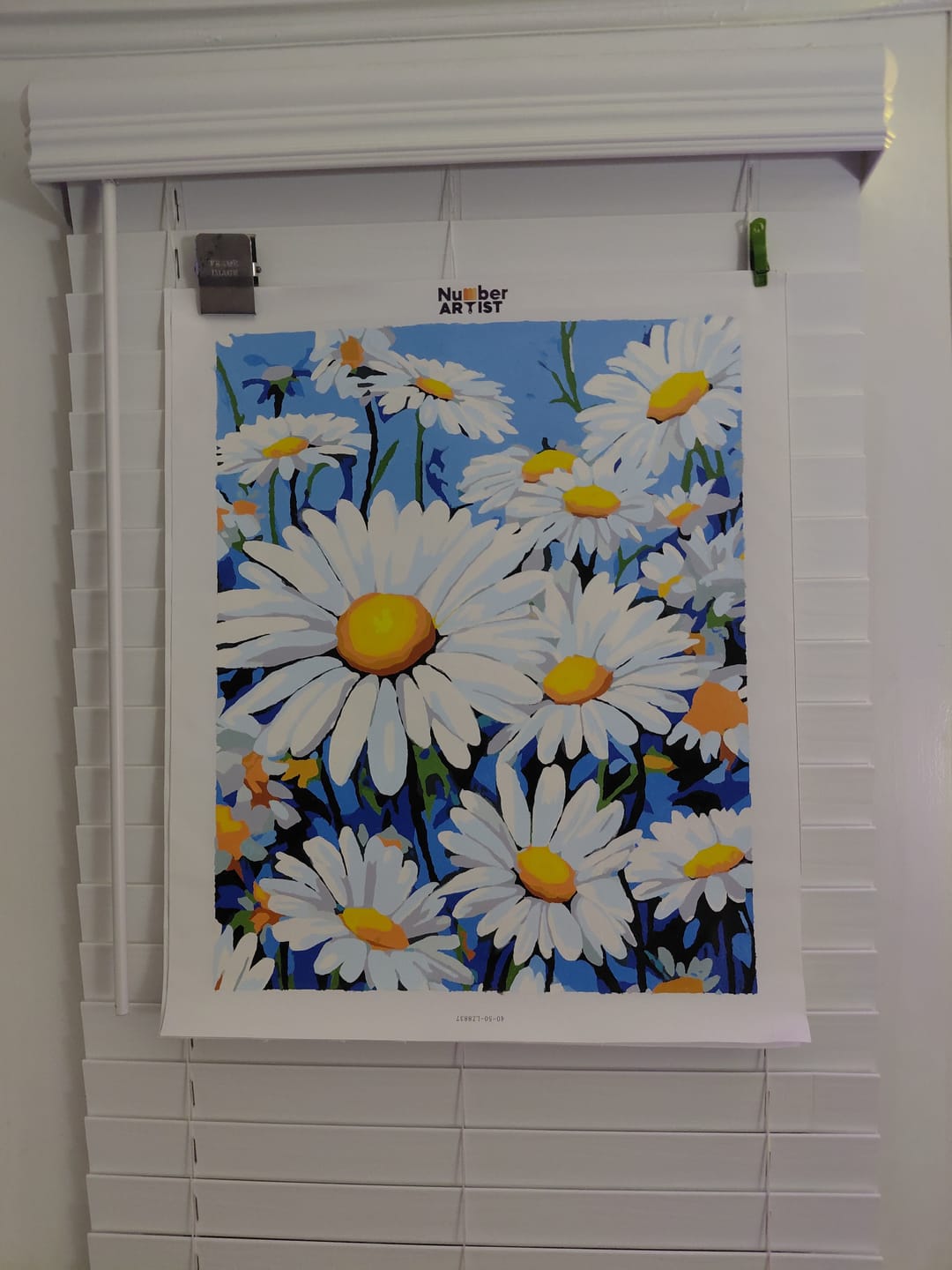 Customer photo review of Elysian Daisy Field