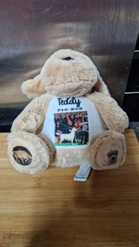 Customer photo review of Design a Personalised Dog Teddy – Add Your Photo, Name or Message