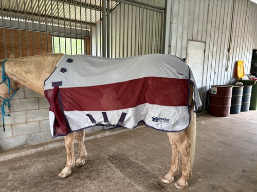 Customer photo review of LE Breeze Summer Sheet with Fieldsafe Front