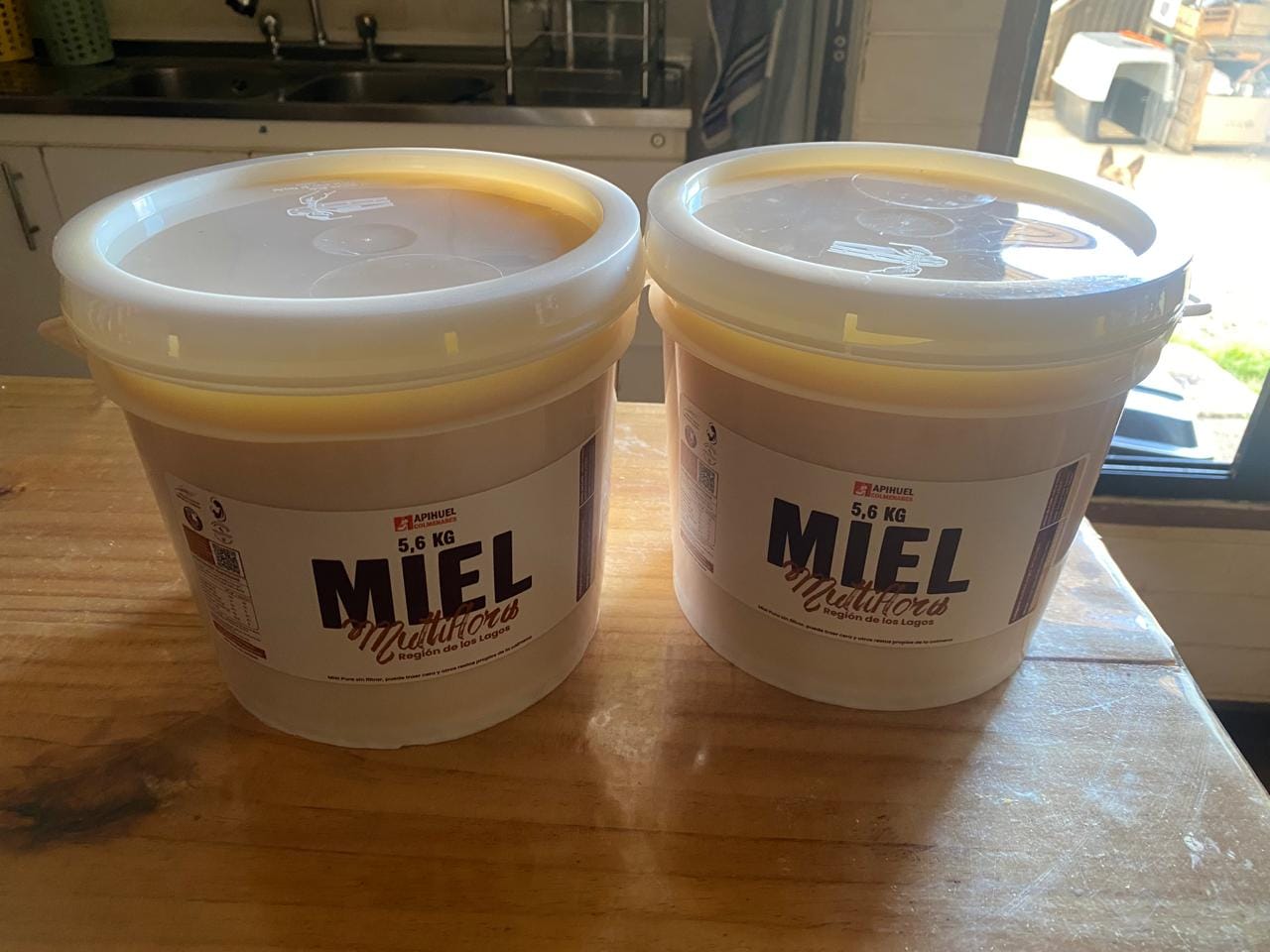 Customer photo review of Balde Miel Multiflora de La Región de Los Lagos 5,6 kilos