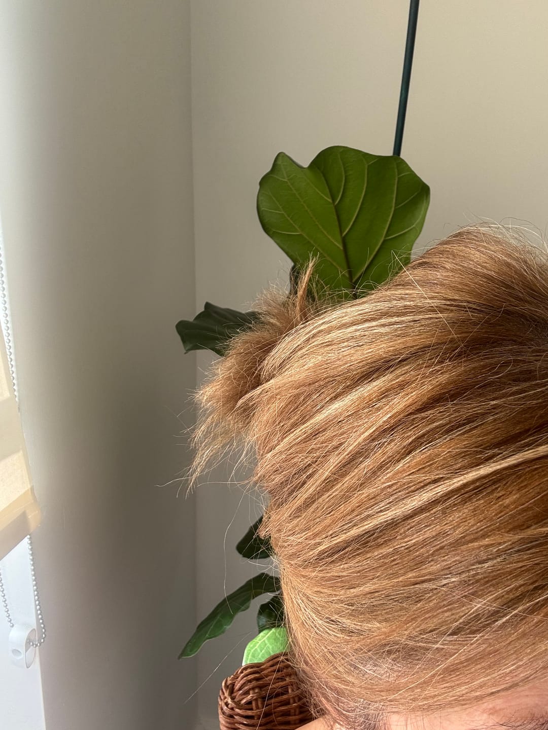 Customer photo review of Leave-In Conditioner