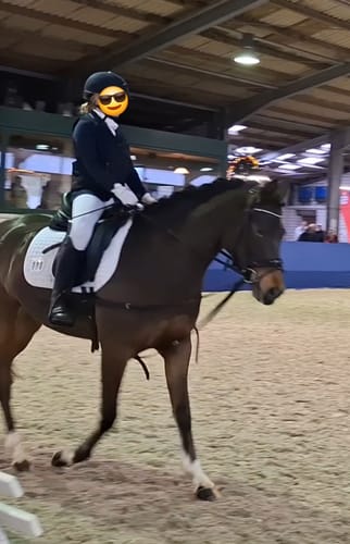 Customer photo review of Strotonin Horse Support
