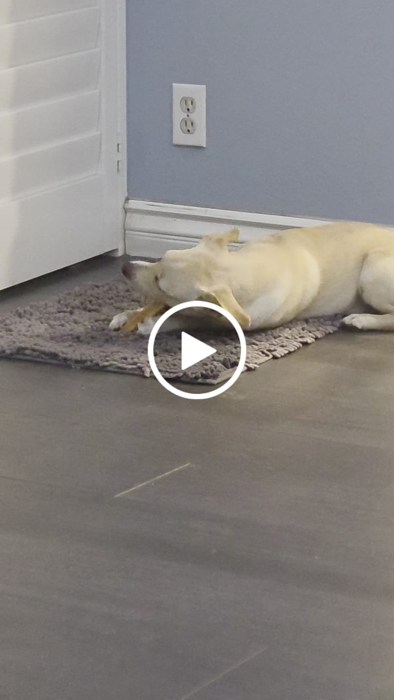Customer video review of Coconut Yak Chews