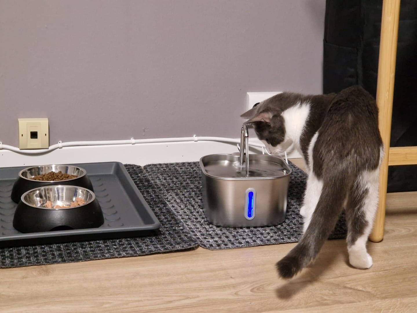 Customer photo review of VitaCat Drikkefontene - 2.2L
