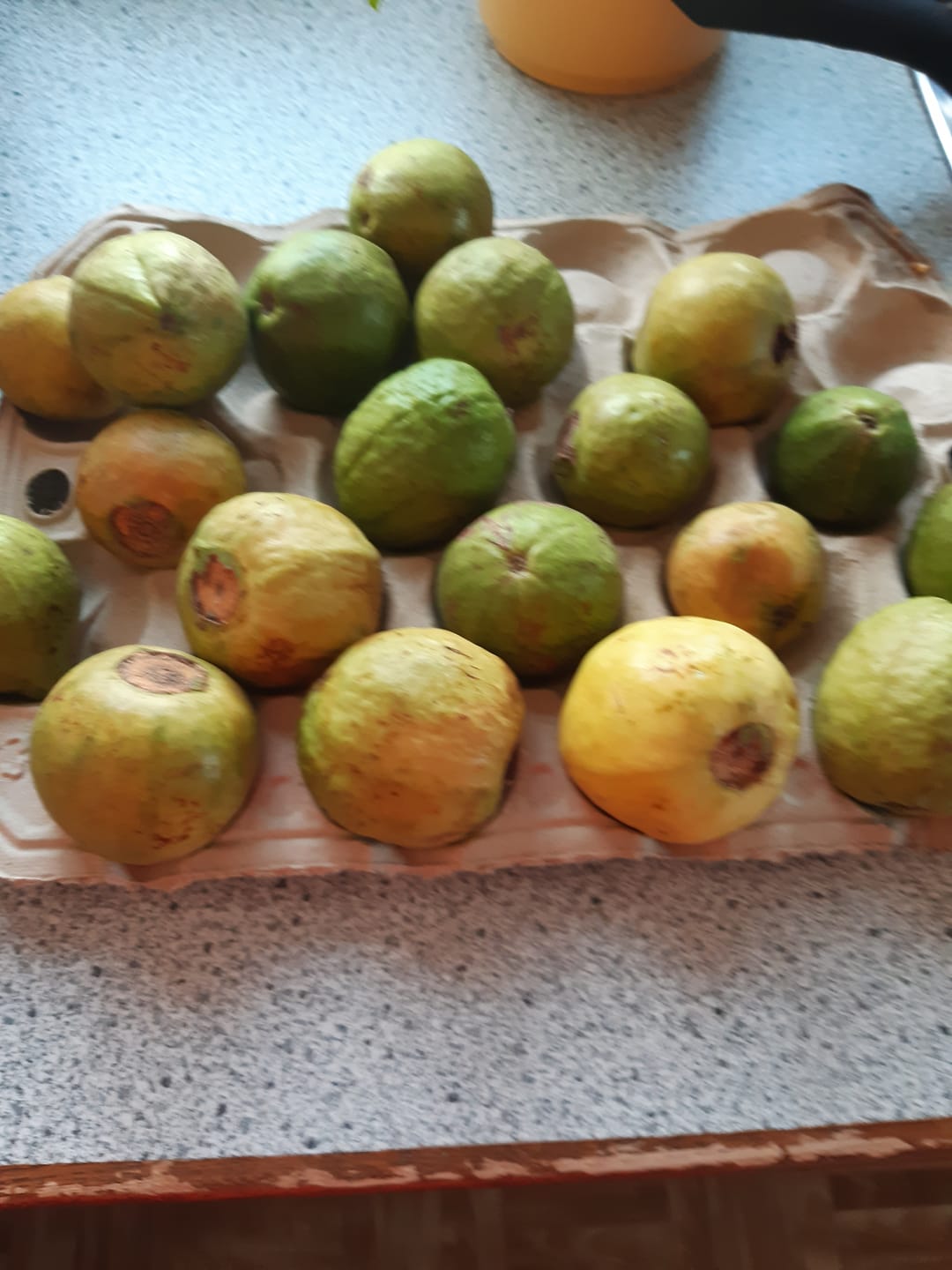 Customer photo review of Guave rot naturbelassen von Julian