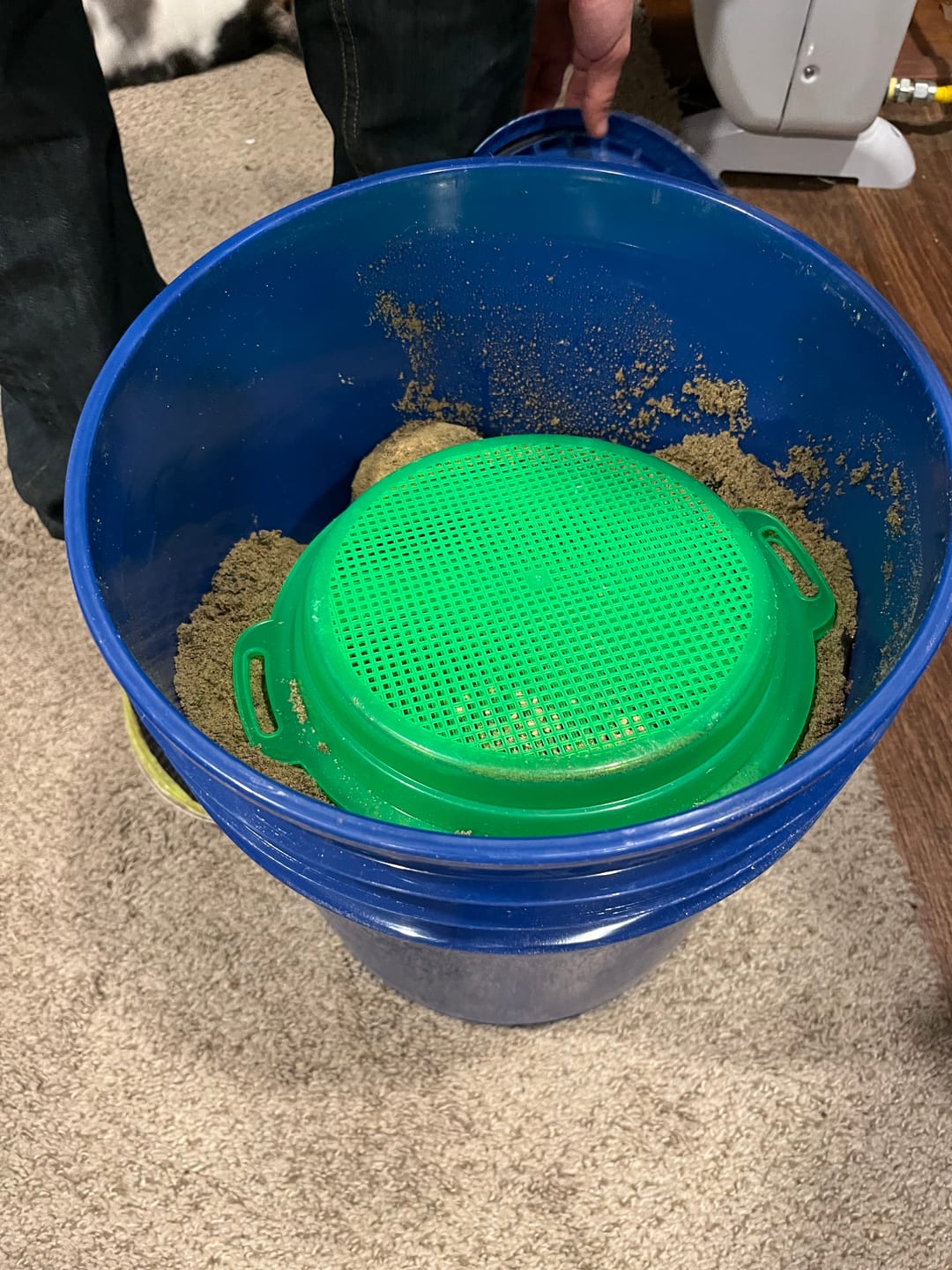 Customer photo review of The Big Dig - 5 Gallon Mining Bucket