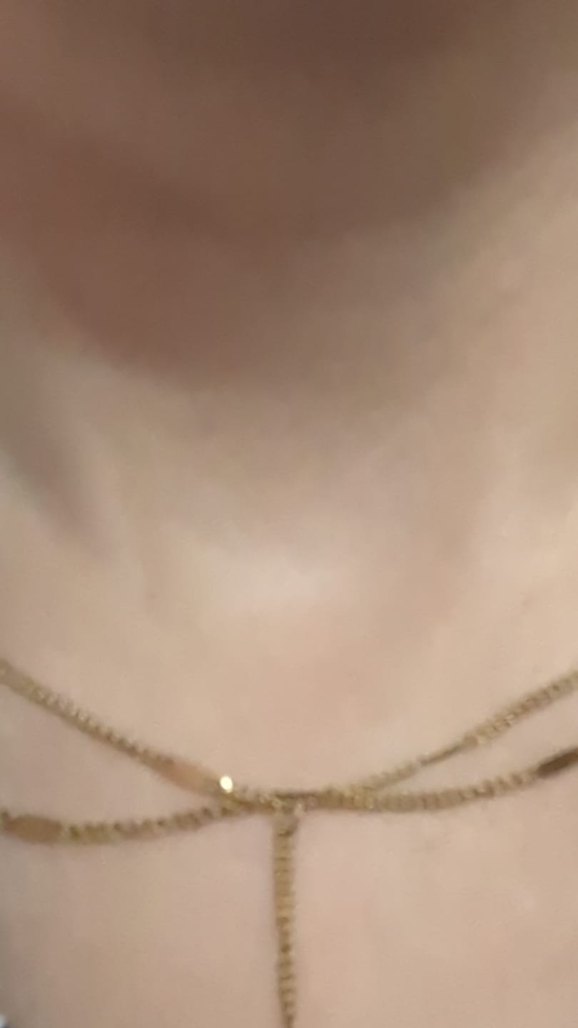 Customer photo review of Chic Layered Necklace