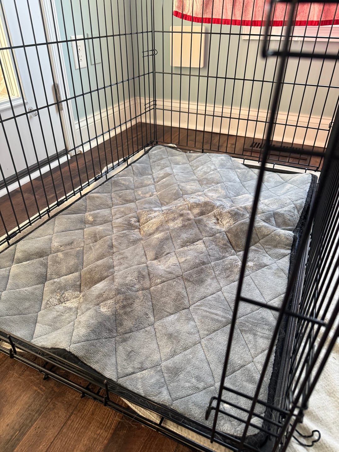 Customer photo review of Crate Mat / Travel Bed