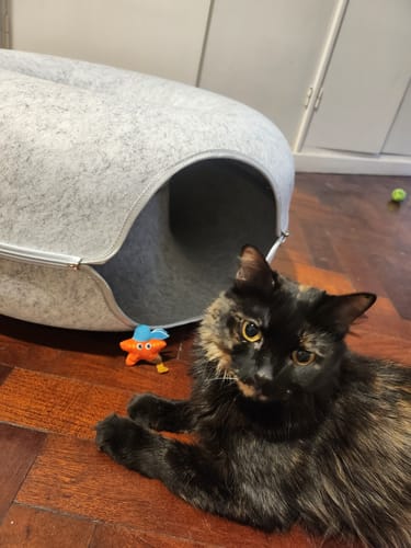 Customer photo review of Cueva Dona