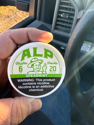 Customer's hand holding a can of ALP Spearmint Nicotine Pouches, showing the green branded lid.