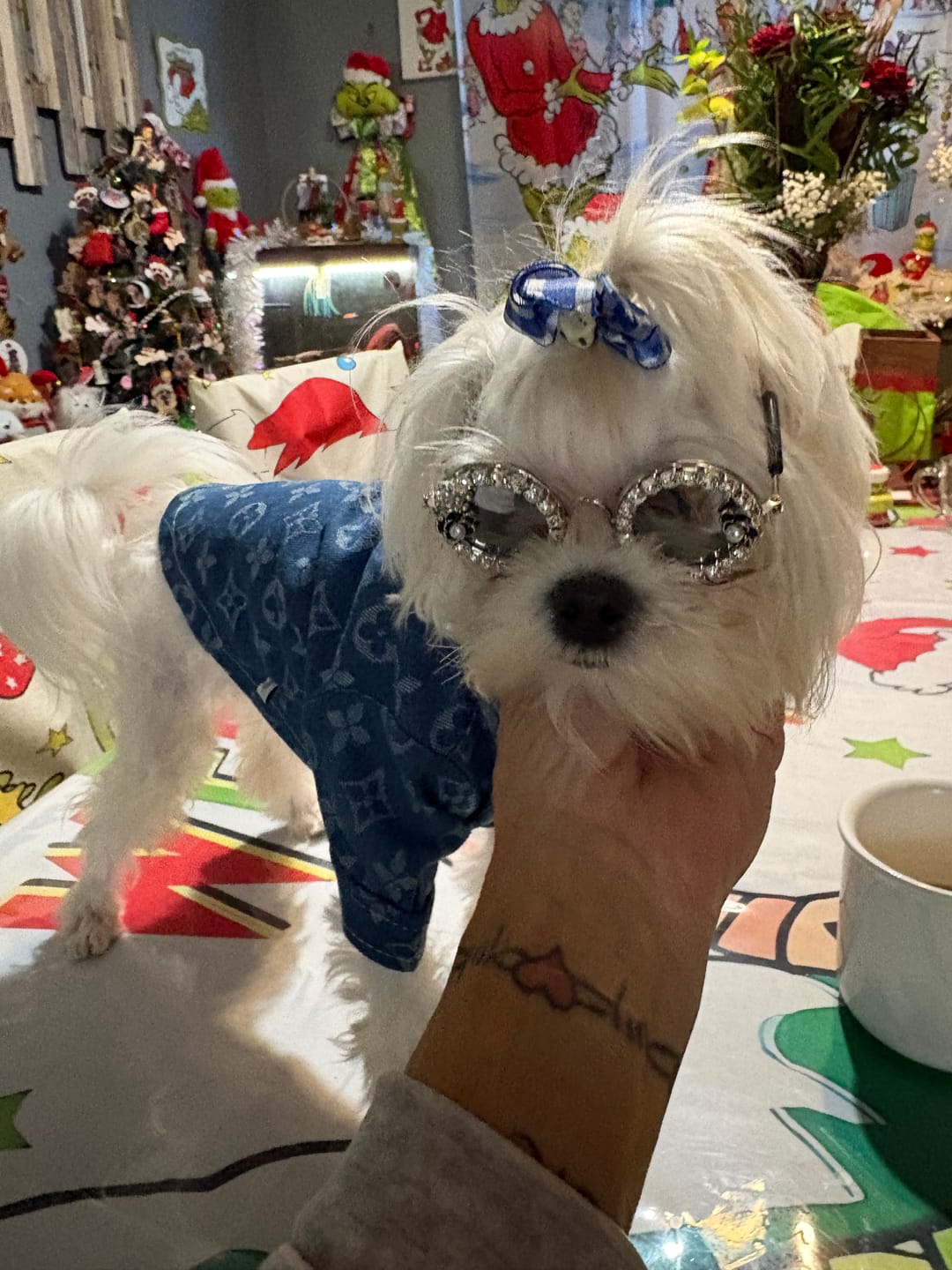Customer photo review of Big Dog & Cat LV Endless Summer Shirt
