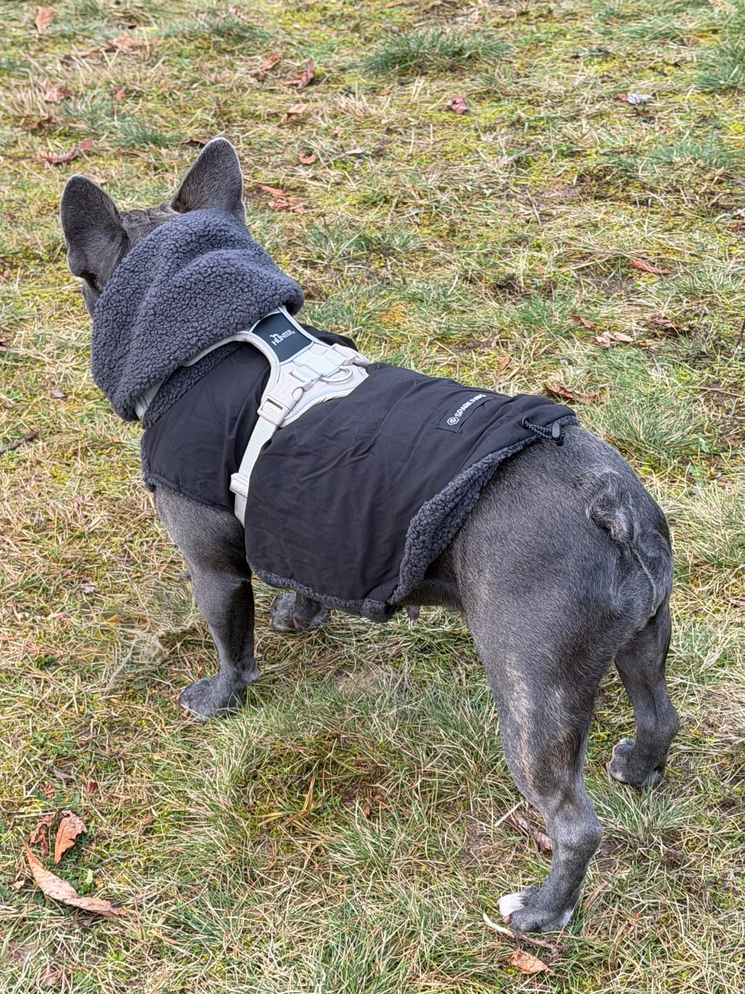 Customer photo review of Reversible Sherpa Jacket - Grey and Black