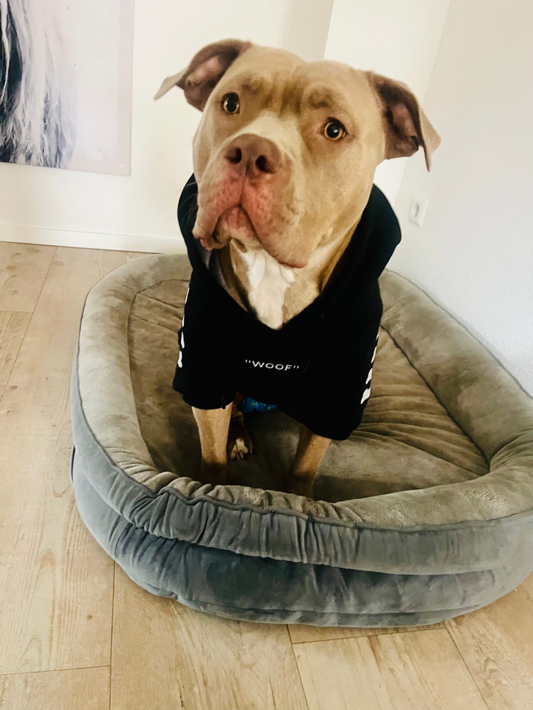 Customer photo review of WarmShield Water-Resistant Jacket - Cosmic