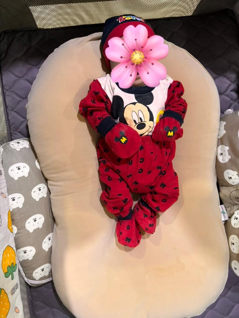 Customer photo review of Organic Duck-Down Feather Infant Lounger | Co-Sleeping, Lounging, Play-Time