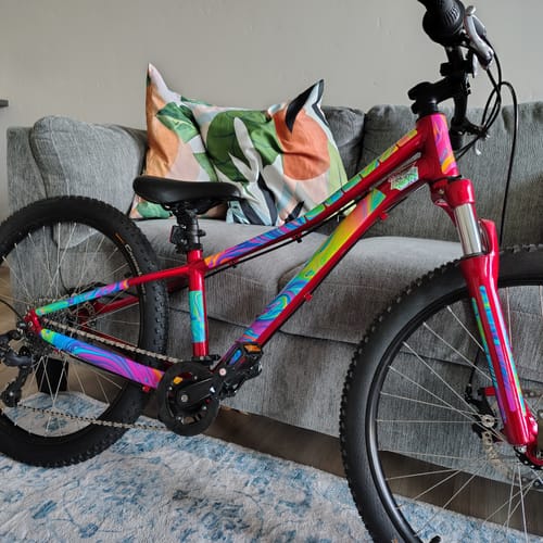 Customer's image of a red child's bike with the colorful Oil Slick Frame Keeper applied to the frame and forks.