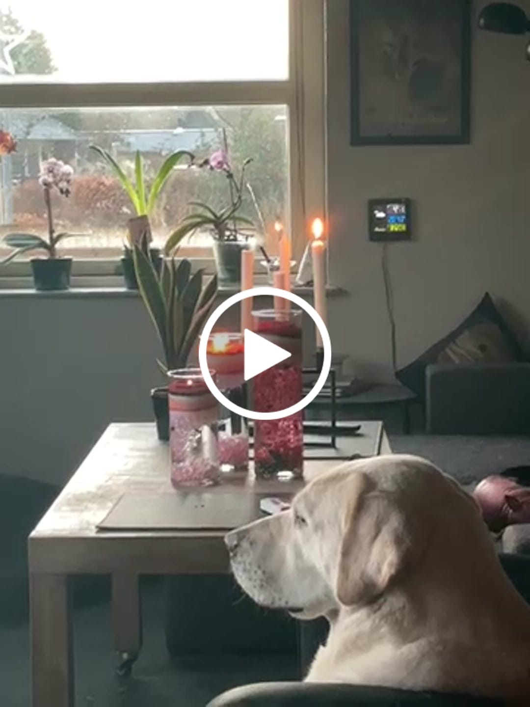 Customer video review of Pearl Light Sand Candle™