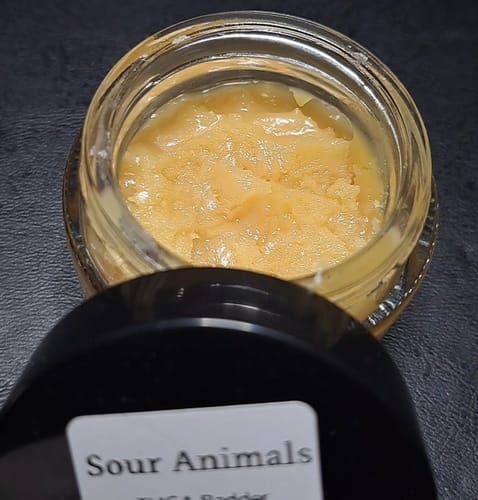 Customer photo review of Sour Animals | THCA Badder