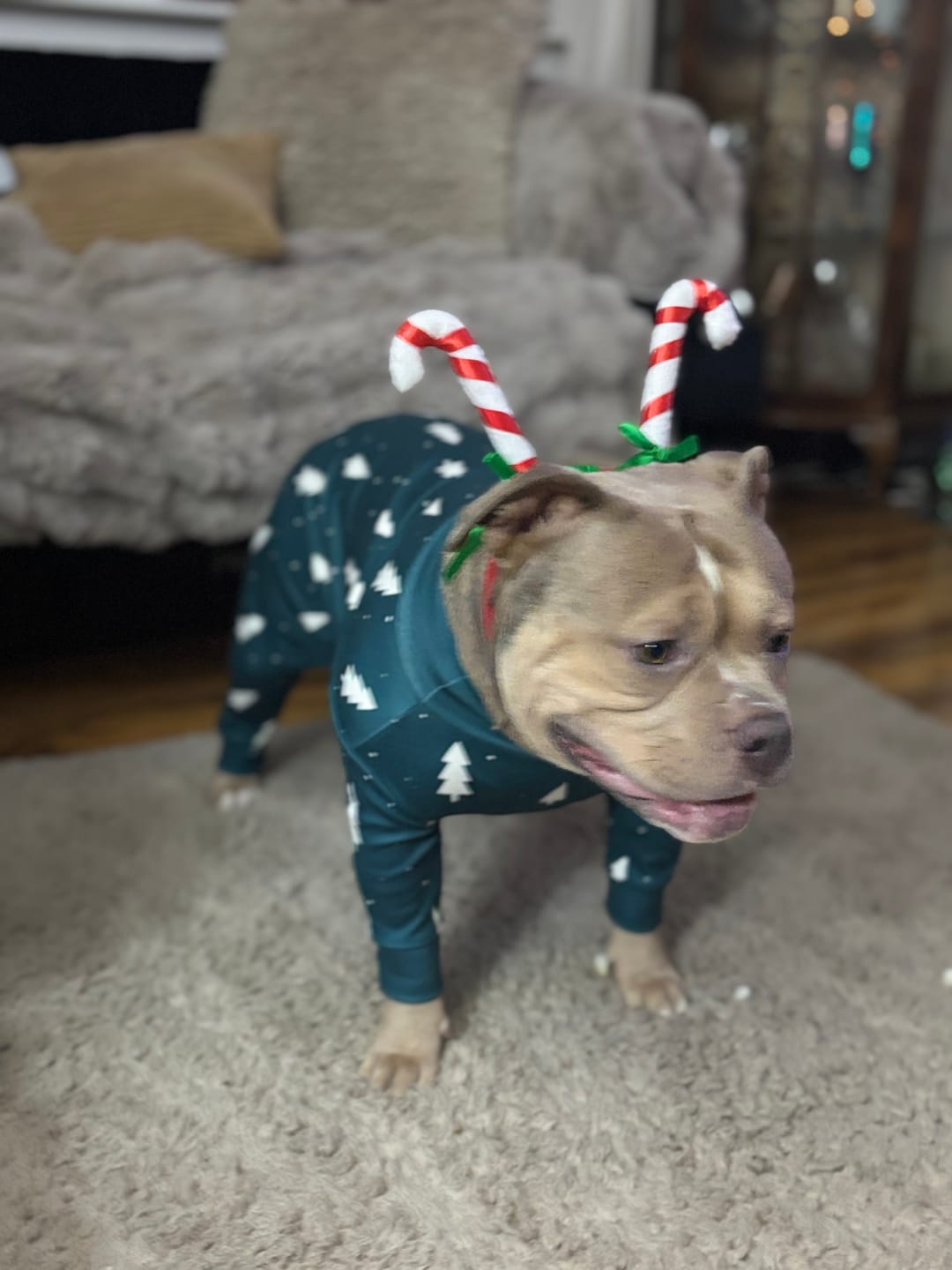 Customer photo review of Dog Christmas Pajama - Frosty Pines