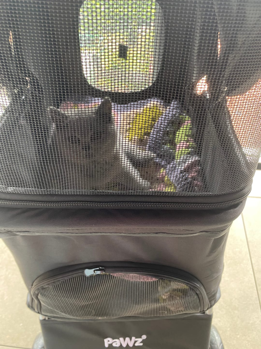 Customer photo review of 4 Wheels Pet Stroller with Detachable Basket