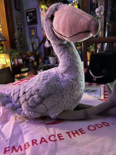 Customer photo review of Shoebill Stork Bird Soft Stuffed Plush Toy