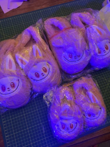 Customer photo review of Labubu Plush Indoor Slippers