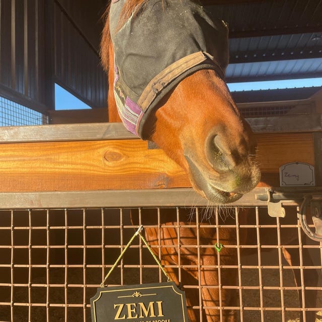 Customer photo review of Personalized Horse Stall Sign – Gold on Black Layered Wood Plaque