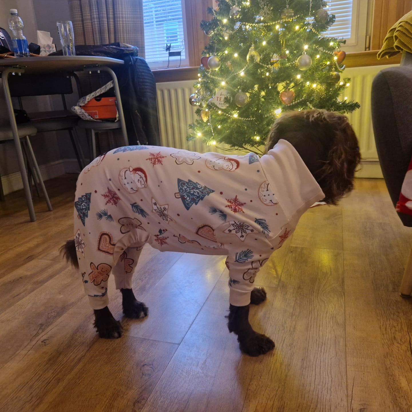 Customer photo review of Dog Christmas Pajama - Frosty Night