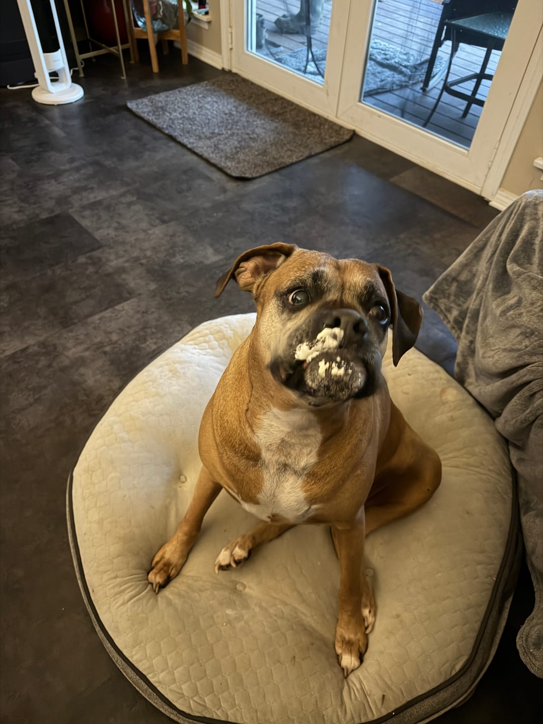 Customer photo review of Tucker's Gold 1000MG