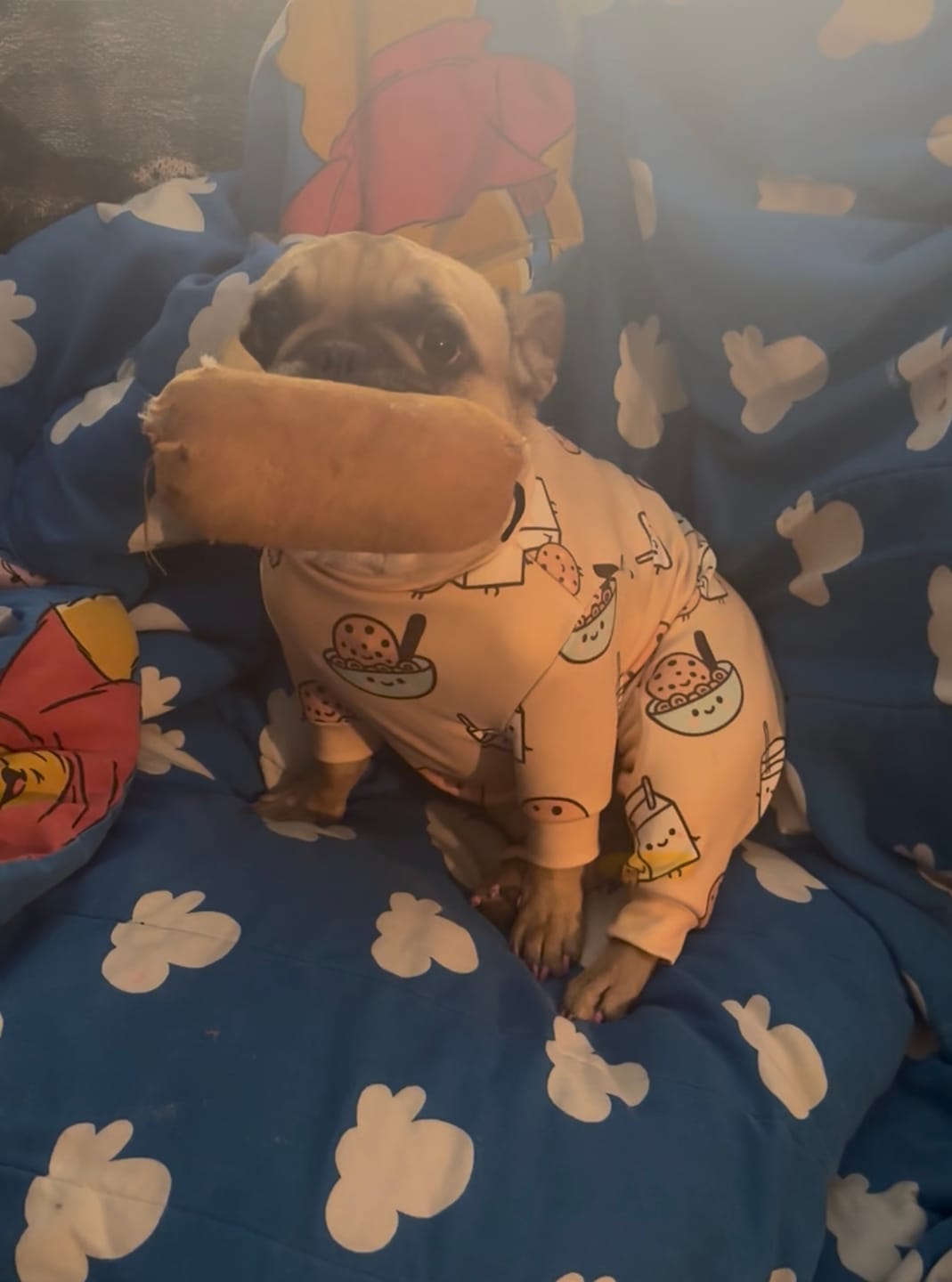 Customer photo review of Dog Pajama - Cookies and Milk