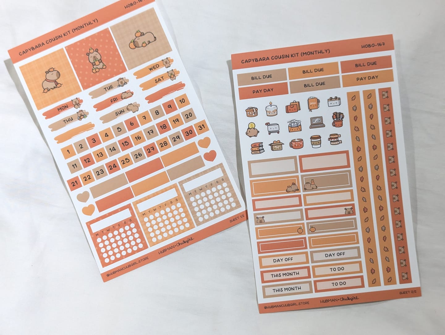 Customer photo review of Autumn Capybaras Theme Hobonichi Cousin Monthly Kit (Set of 2)