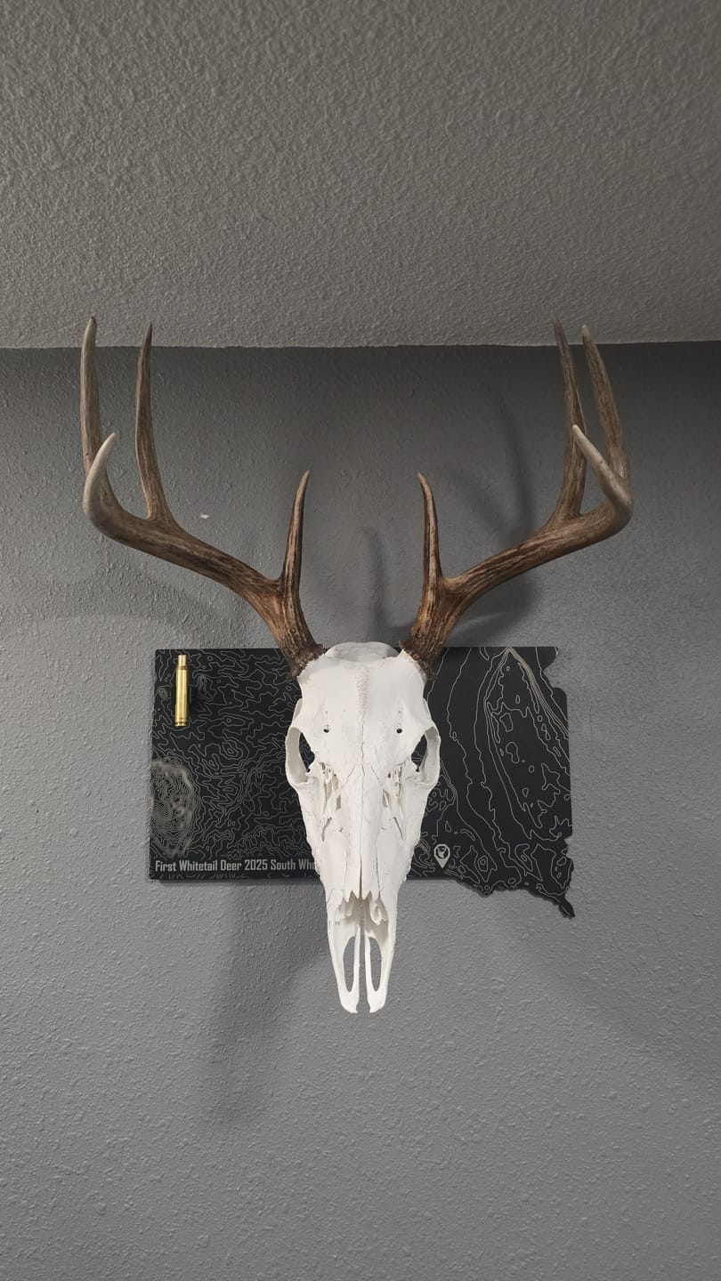 Customer photo review of Medium Game Plaque - Selections