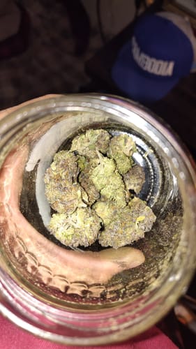 Customer photo review of GDP THCA Flower