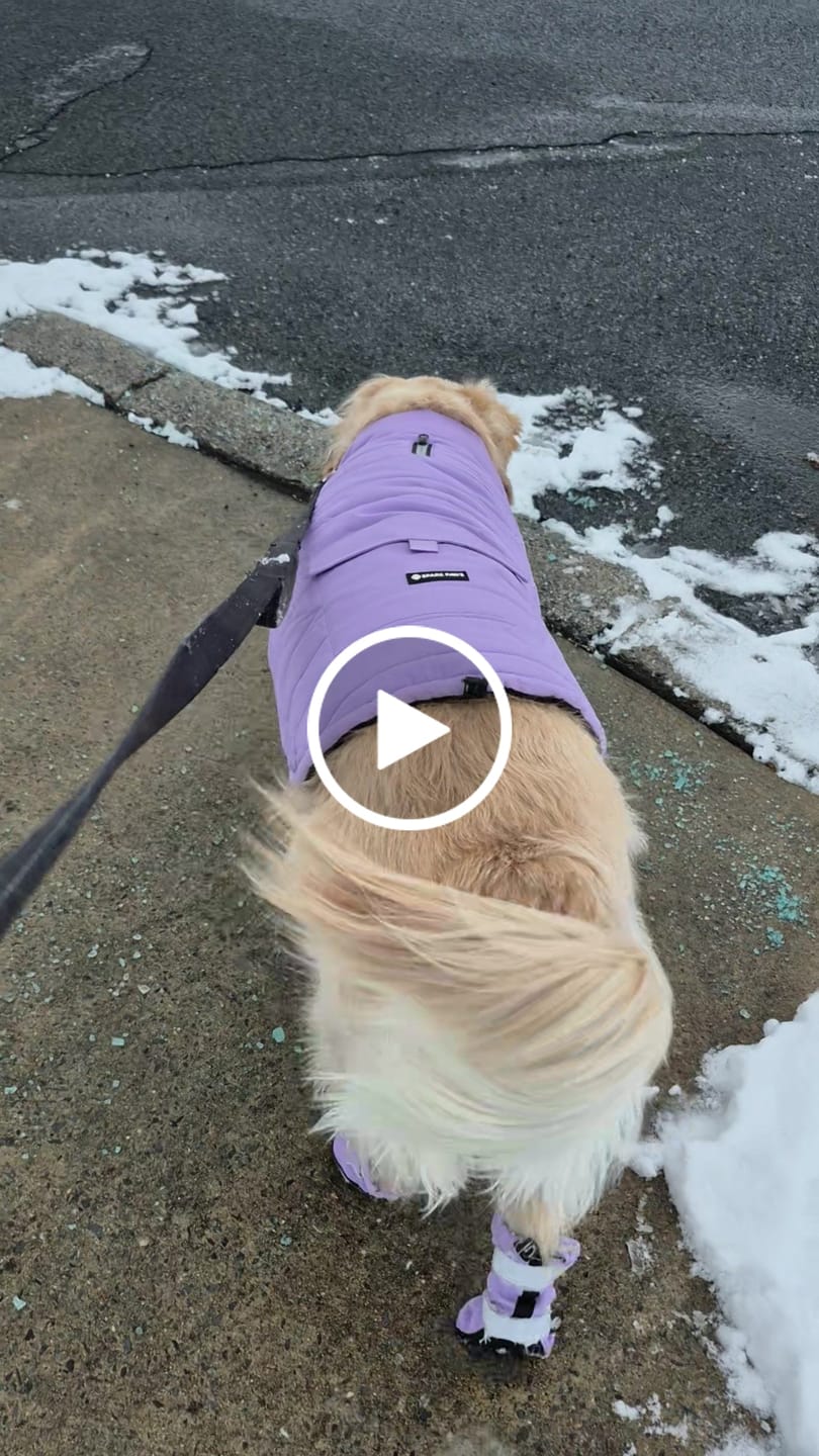 Customer video review of WarmShield Water-Resistant Jacket - Lilac