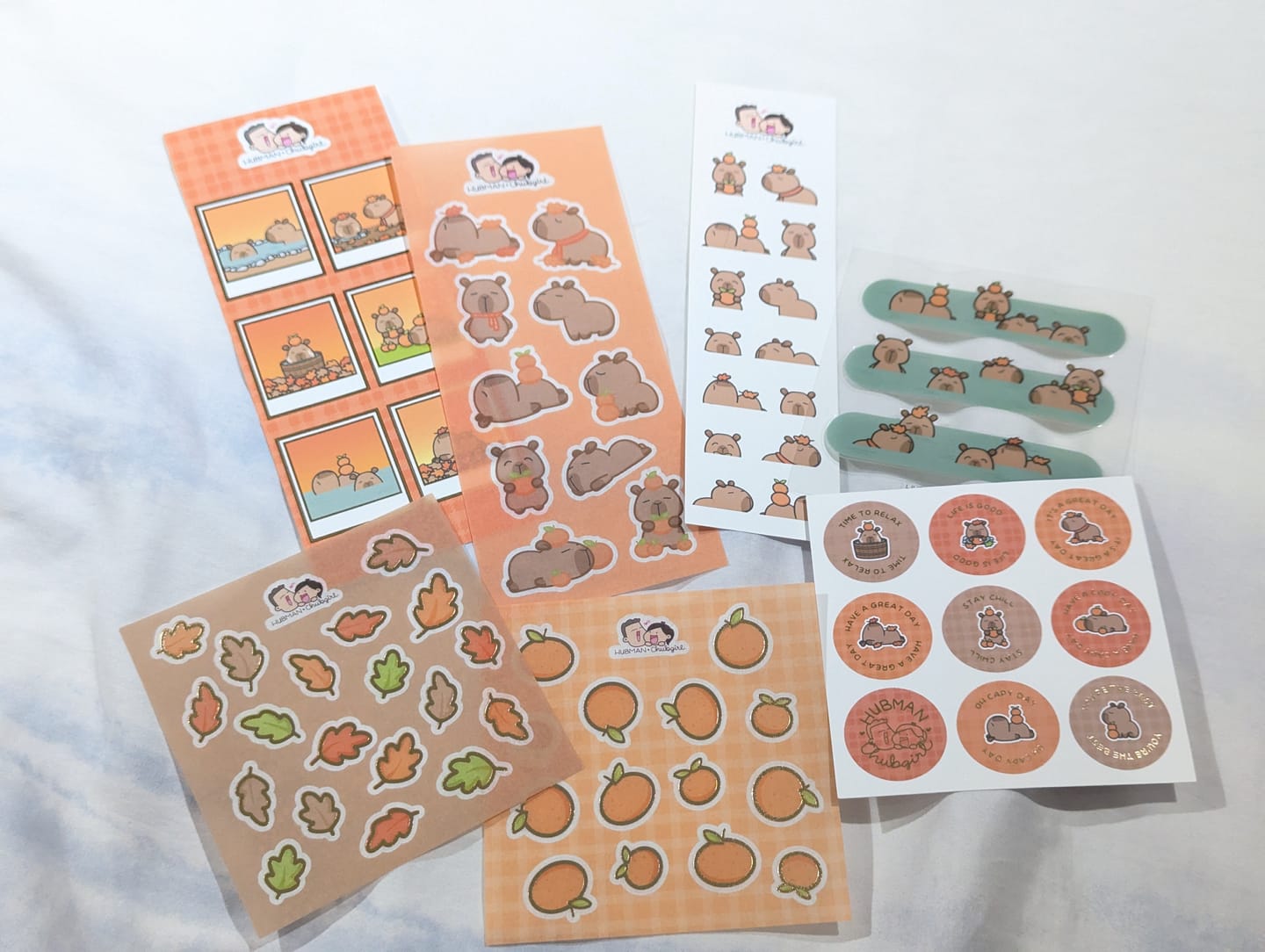 Customer photo review of Autumn Capybaras Variety Sticker Pack