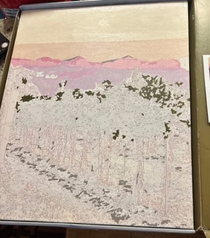 Customer photo review of Custom Landscape Paint By Numbers