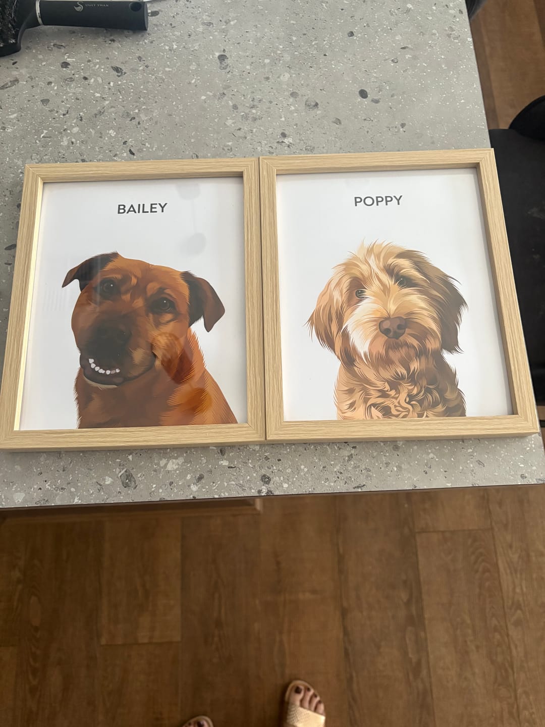 Customer photo review of 1 Pet