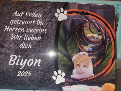 Customer photo review of Katzen Gedenktafel mit Foto & Spruch (UV- & Wetterfest)