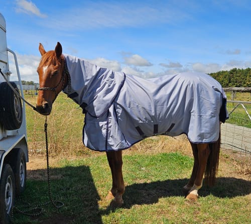 Customer photo review of LE Boxter Turnout Ripstop 50g