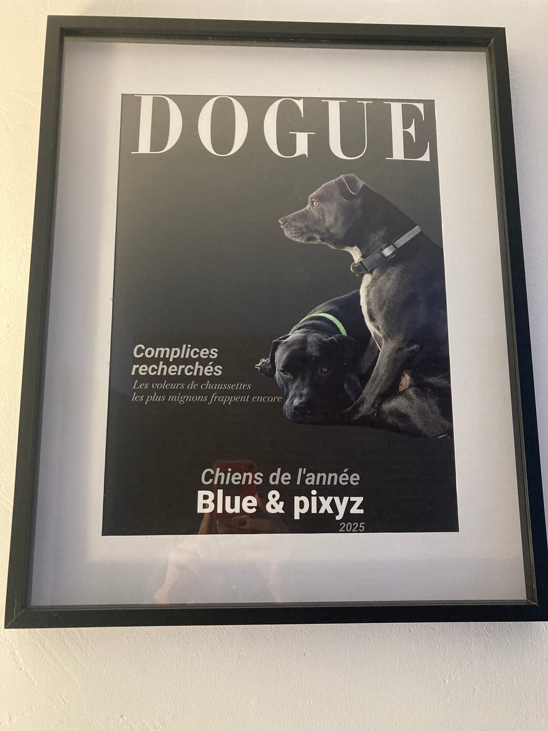 Customer photo review of Dogue - Poster personnalisé