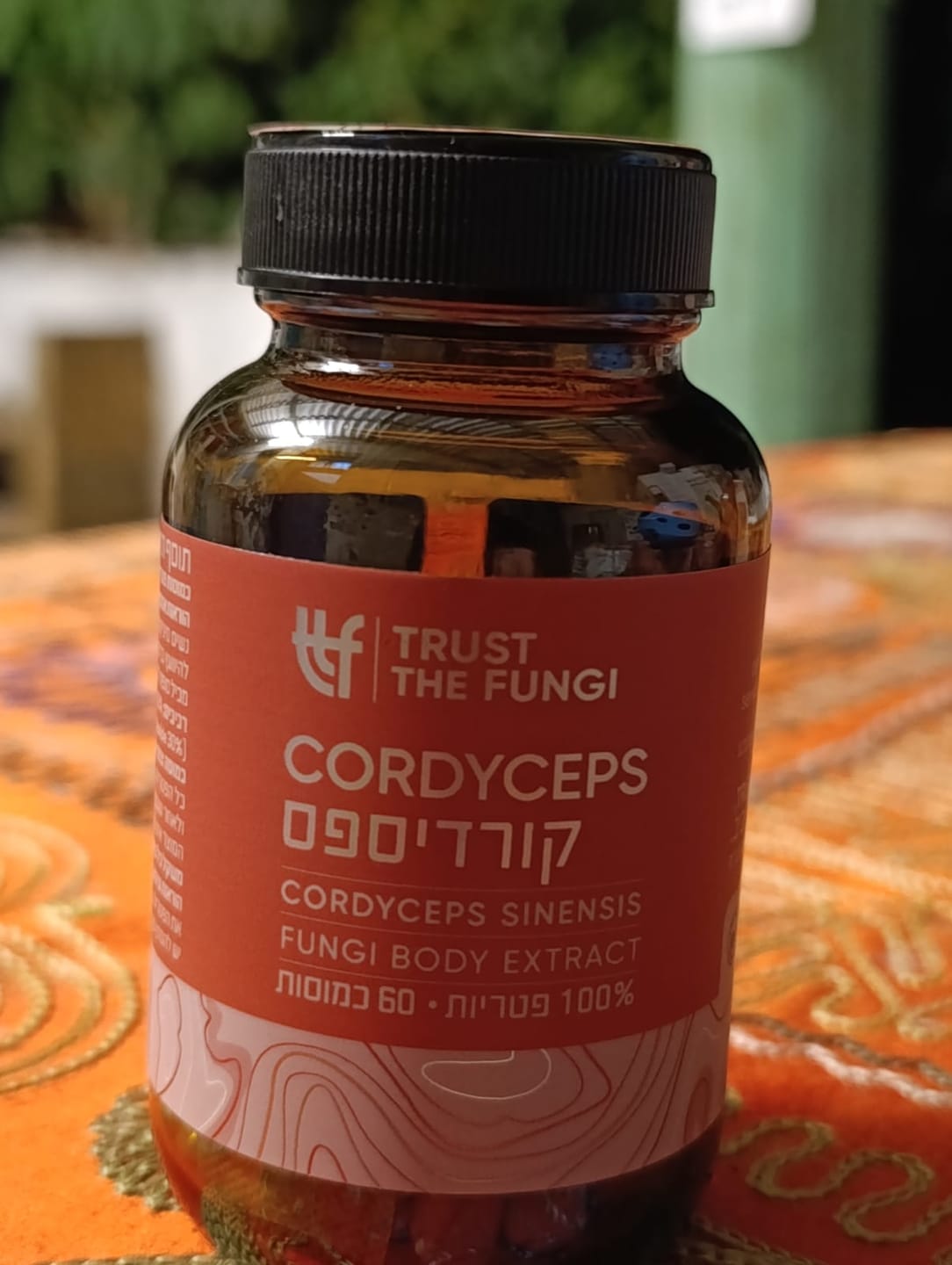 Customer photo review of פטריית קורדיספס Cordyceps מיצוי 100% פטריות בשיטת FBE