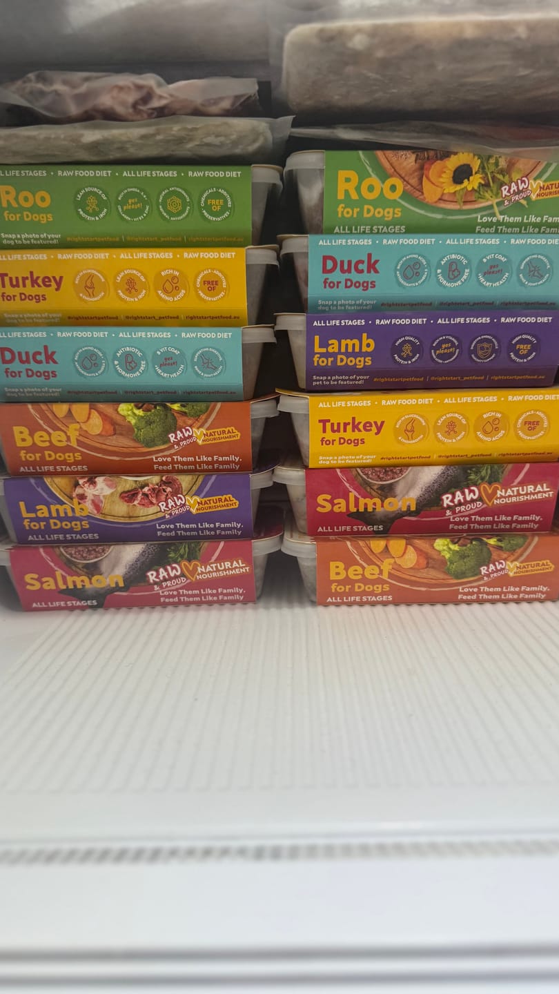 Customer photo review of Variety Box for Dogs