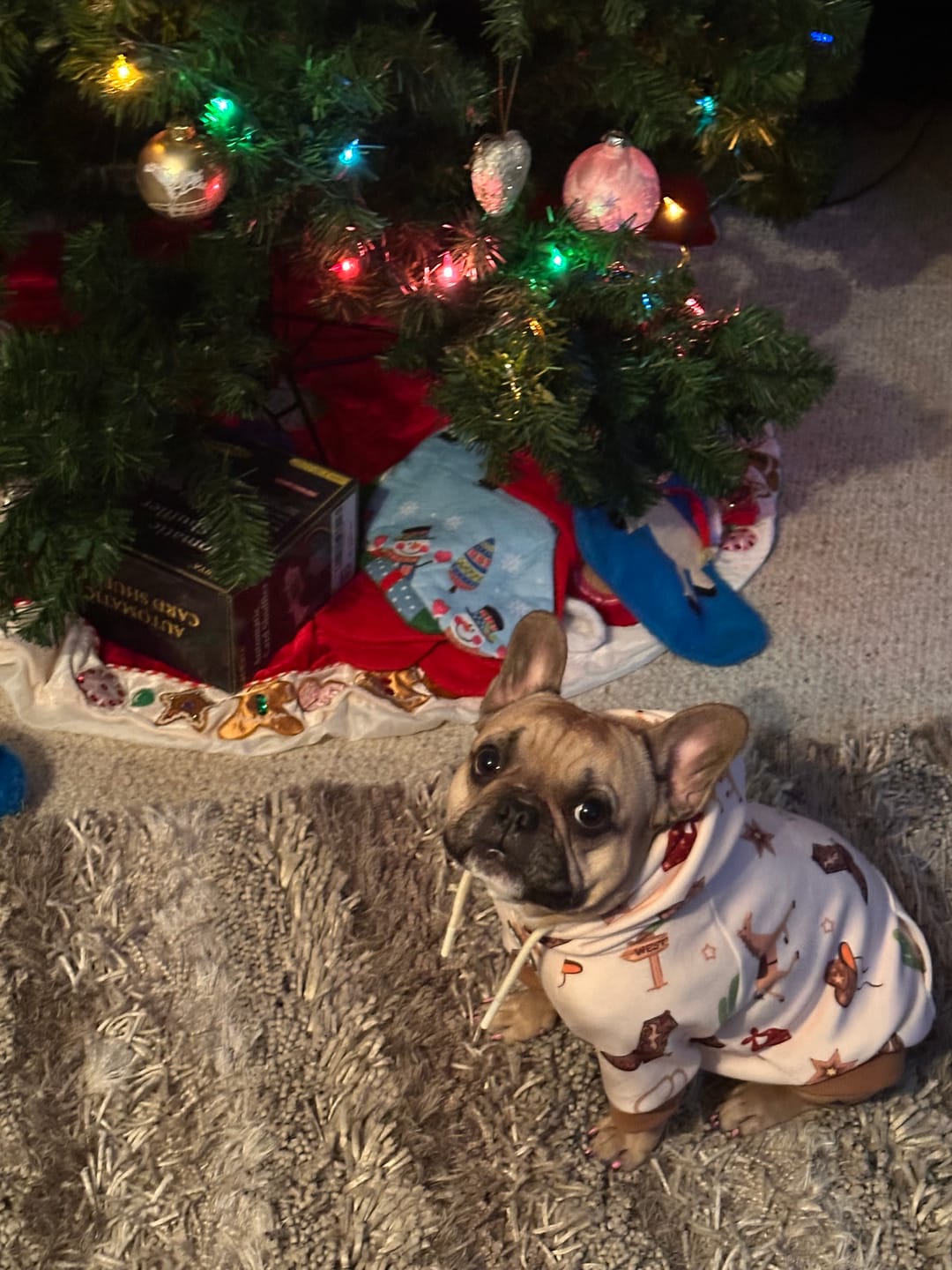 Customer photo review of Rodeo Dog Hoodie
