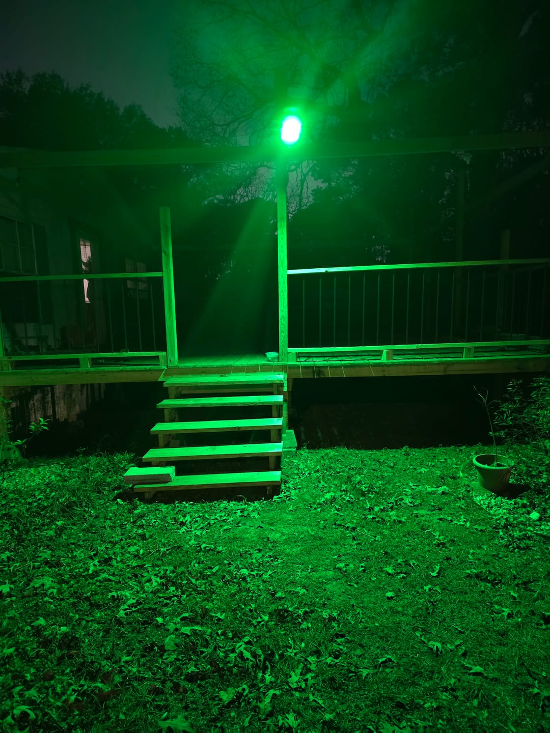 Customer photo review of Solar Green Feeder Light for Hunting -12,000 lumens