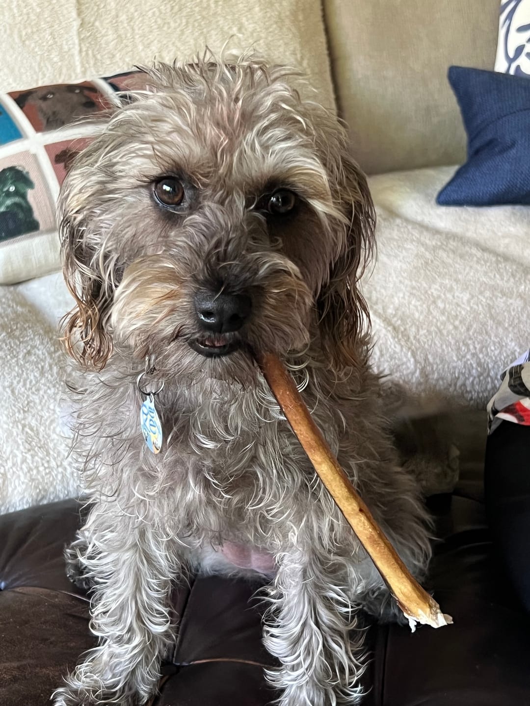 Customer photo review of Maplewood Smoked Bullys