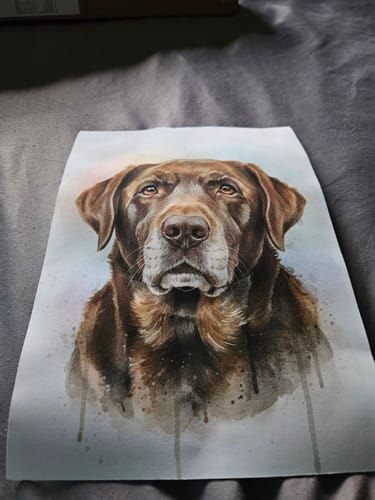 Customer photo review of Pet Portrait