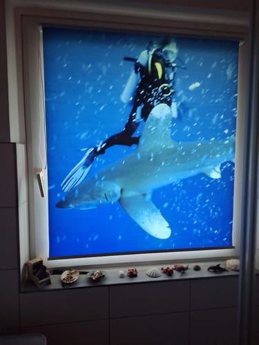 Customer photo review of Foto Rollo Klemmfix "Unterwassertiere"