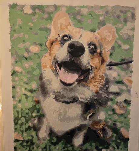 Customer photo review of Custom Pet Paint By Numbers