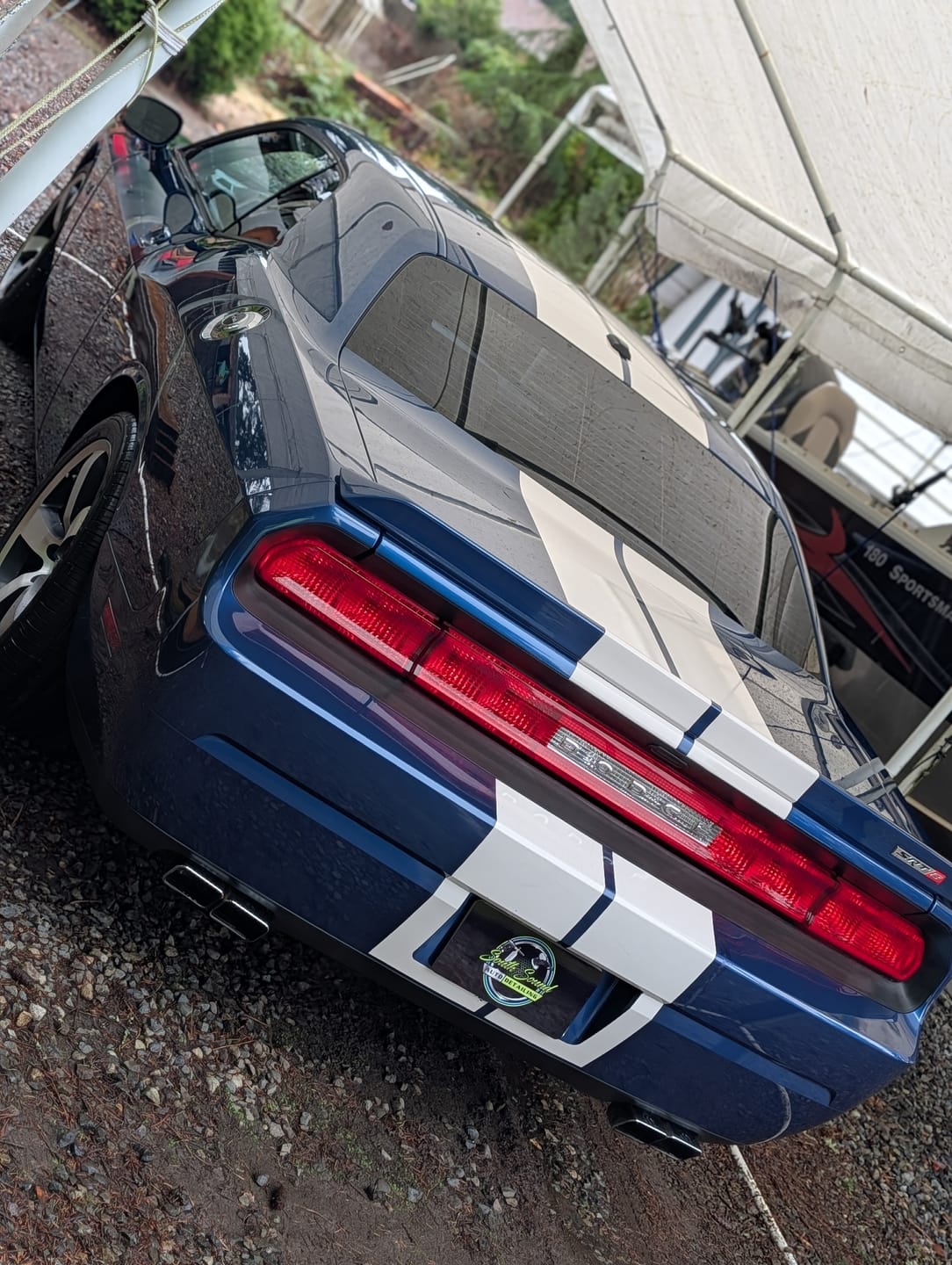 Customer photo review of Create Your Own Custom Magnetic License Plate Cover