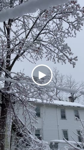 Customer video review of PlantWave