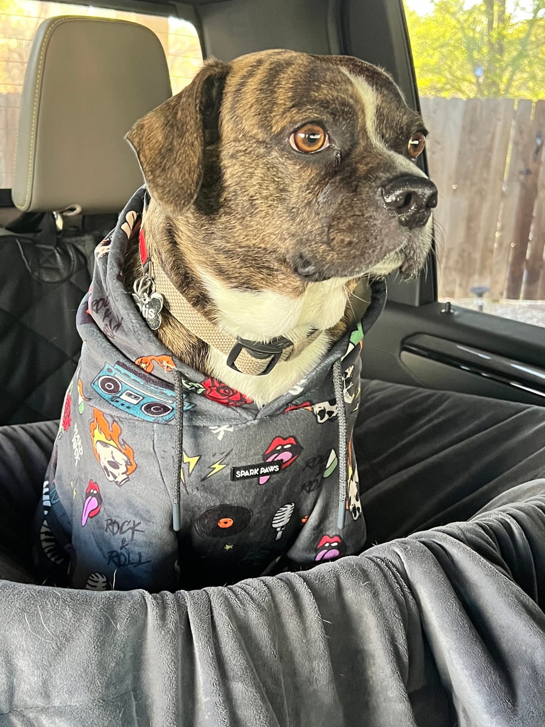 Customer photo review of Dog Hoodie Prints